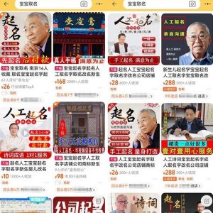 拆解小红书宝宝起名虚拟副业项目,一条龙实操玩法分享给你(教程+软件)-木石资源网