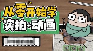 从零开始学实拍加动画，实拍加动画创意教程-木石资源网
