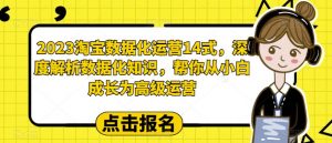 2023淘宝数据化运营14式,深度解析数据化知识,帮你从小白成长为高级运营-木石资源网