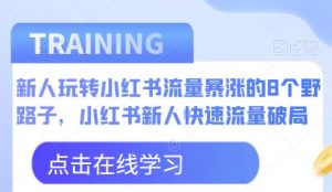 新人玩转小红书流量暴涨的8个野路子，小红书新人快速流量破局-木石资源网