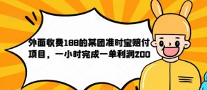 外面收费188的美团准时宝赔付项目，一小时完成一单利润200【仅揭秘】-木石资源网