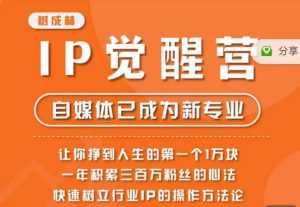 树成林·IP觉醒营，快速树立行业IP的操作方法论，让你赚到人生的第一个1万块（更新）-木石资源网