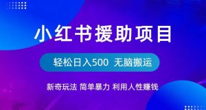 小红书援助项目新奇玩法，简单暴力，无脑搬运轻松日入500【揭秘】-木石资源网