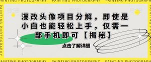 漫改头像项目分解，即使是小白也能轻松上手，仅需一部手机即可【揭秘】-木石资源网