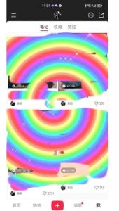 冷门高利润项目,小红书带货,无脑搬运,一部手机实现日入500+【揭秘】-木石资源网