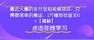 最近火爆的支付宝短视频项目，只需要简单的搬运，1万播放收益300+【揭秘】-木石资源网