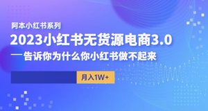 阿本小红书无货源电商3.0，告诉你为什么你小红书做不起来-木石资源网