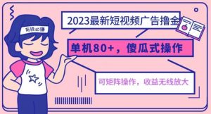 2023最新玩法短视频广告撸金，亲测单机收益80+，可矩阵，傻瓜式操作，小白可上手【揭秘】-木石资源网