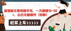 极速版无费用薅羊毛，一天躺赚10-50+，小白无脑操作【拆解】-木石资源网