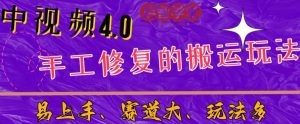 中视频4.0赛道：新手福音，一小时制作，三天过计划，7天看效果【揭秘】-木石资源网