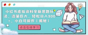 小红书虚拟资料全新思路玩法,流量巨大,轻松日入300+,小白可操作【揭秘】-木石资源网
