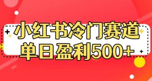 小红书冷门赛道,单日盈利500+【揭秘】-木石资源网