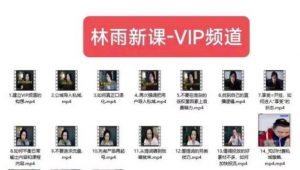 林雨新课VIP频道，玩赚私域/朋友圈/社群-木石资源网