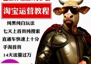 猫老师·淘系算法逆向解密，​纯黑纯白玩法，七天上首页纯搜索，手淘首页14天流量过万-木石资源网