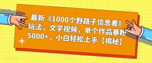 最新《1000个野路子信息差》玩法，文字视频，单个作品暴粉5000+，小白轻松上手【揭秘】-木石资源网