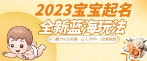 2023宝宝起名全新蓝海玩法，冷门暴力小白实操，日入1000+（全套教程）【揭秘】-木石资源网