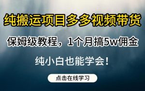 纯搬运项目多多视频带货保姆级教程，1个月搞5w佣金，纯小白也能学会【揭秘】-木石资源网