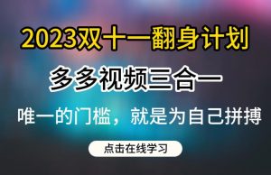 2023双十一翻身计划，多多视频带货三合一玩法教程【揭秘】-木石资源网