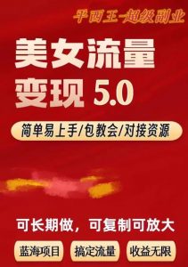 TK美女短视频变现项目无限复制（升级版），全网最高性价比项目【揭秘】-木石资源网