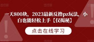 一天800块，2023最新反撸pz玩法，小白也能轻松上手【仅揭秘】-木石资源网