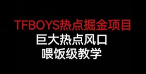 TFBOYS热点掘金项目，巨大热点风口，喂饭级教学-木石资源网