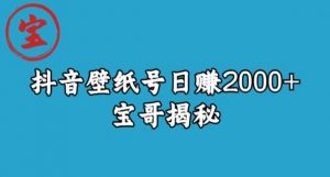 宝哥抖音壁纸号日赚2000+,不需要真人露脸就能操作【揭秘】-木石资源网