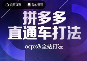 互力·拼多多直通车打法，ocpx&全站打法-木石资源网
