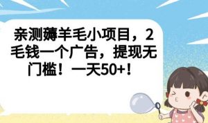 亲测薅羊毛小项目，2毛钱一个广告，提现无门槛！一天50+【揭秘】-木石资源网