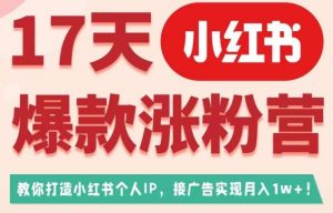 17天小红书爆款涨粉营（广告变现方向），教你打造小红书博主IP、接广告变现的-木石资源网