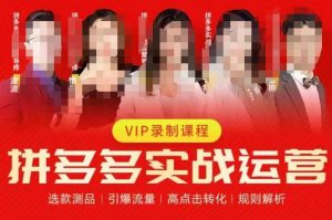 2023推易拼多多实战运营，选款测品、引爆流量、高点击转化、规则解析-木石资源网