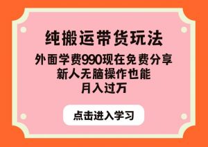 纯搬运带货玩法，外面学费990现在免费分享，新人无脑操作也能月入过万【揭秘】-木石资源网