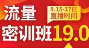 秋秋线上流量密训班19.0，打通流量关卡，线上也能实战流量破局-木石资源网