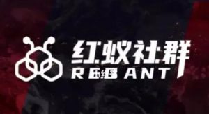 社群运营：红蚁社群【48节落地系统课程+2000人高端社群】-木石资源网