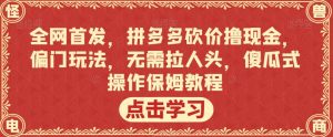 全网首发，拼多多砍价撸现金，偏门玩法，无需拉人头，傻瓜式操作保姆教程【揭秘】-木石资源网