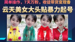云天美女大头贴暴力起号教学，简单操作，7天万粉，收徒带货变现香-木石资源网