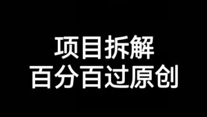 项目拆解赛道百分百过原创【揭秘】-木石资源网