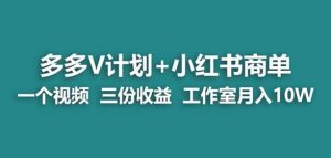 【蓝海项目】多多v计划+小红书商单一个视频三份收益工作室月入10w-木石资源网