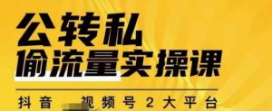群响公转私偷流量实操课,致力于拥有更多自持,持续,稳定,精准的私域流量!-木石资源网