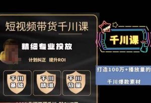 短视频带货-千川专业投放课，​精细化专业投放，计划纠正，提升ROI-木石资源网