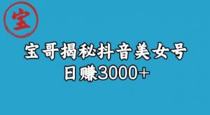 宝哥揭秘抖音美女号玩法，日赚3000+【揭秘】-木石资源网
