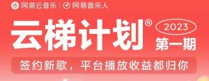2023年8月份网易云最新独家挂机技术，真正实现挂机月入5000【揭秘】-木石资源网