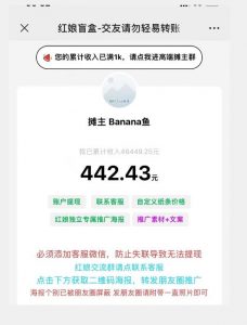 盲盒交友5.0，男粉变现实操项目，亲测变现效果极好【揭秘】-木石资源网