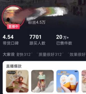 全新的蓝海赛道，抖音一元直播，不用囤货，不用出镜，照读话术也能20w+月销量【揭秘】-木石资源网