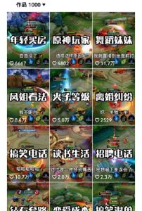 副业拆解：抖音王者荣耀游戏变现副业项目，视频版一条龙实操玩法分享给你-木石资源网