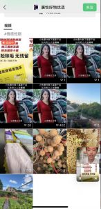 外面收费198的最新视频号连怼技术，条条原创，条条爆单【揭秘】-木石资源网