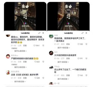 副业拆解：抖音杰伦音乐号涨粉变现项目，视频版一条龙实操玩法分享给你-木石资源网