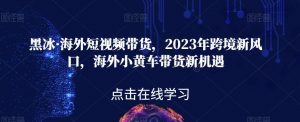 黑冰·海外短视频带货，2023年跨境新风口，海外小黄车带货新机遇-木石资源网