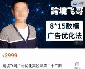 跨境飞哥·广告优化高阶课第二十三期，​8*15数模广告优化法，用数据驱动决策-木石资源网