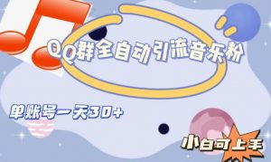 QQ群全自动引流音乐粉，单账号一天轻松引流30+-木石资源网