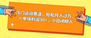 冷门运动赛道，轻松月入过万，一单纯利润30+，小白闭眼入【揭秘】-木石资源网